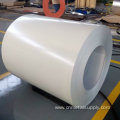 Prepainted galvanized steel coil